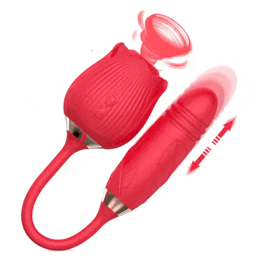 Rose Toy Vibrator 2 in 1